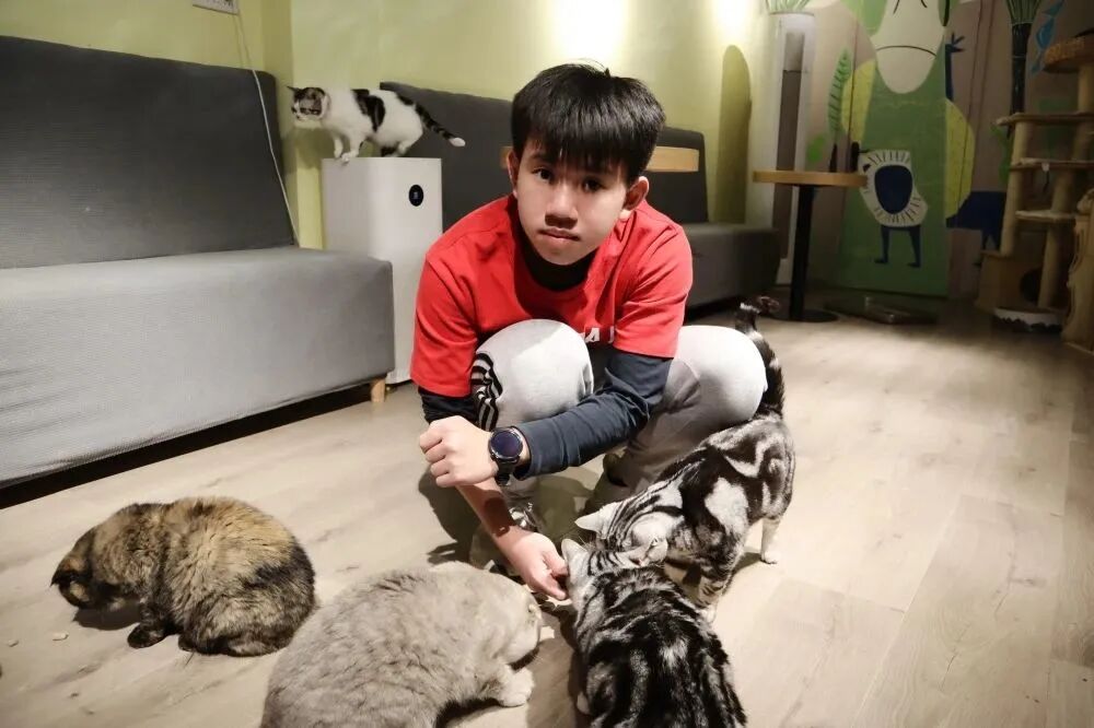 上实剑桥学子风采 | 徐秉时：帝...